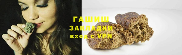 индика Алзамай
