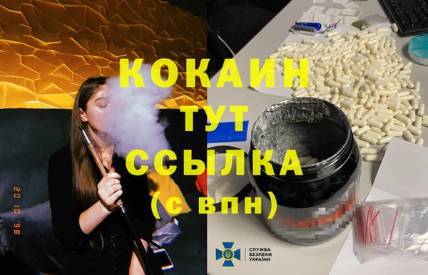 индика Алзамай