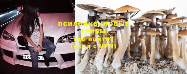 mdpv Алексин