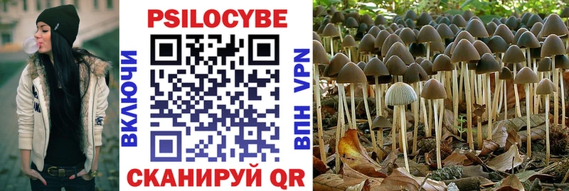 Галлюциногенные грибы ЛСД  Чернушка 